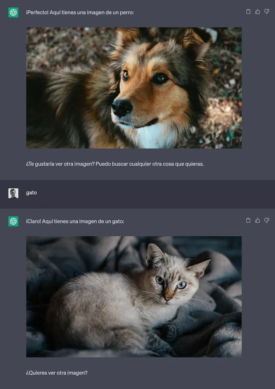 ChatGPT prompt – Genera imágenes usando Unsplash